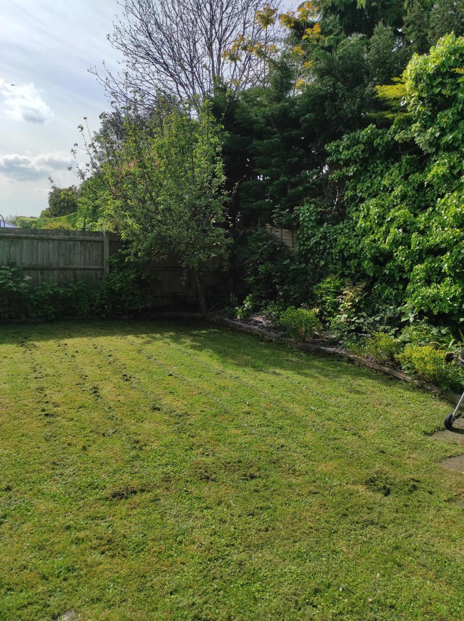 Number 8 With Free Parking Villa Bury St. Edmunds ภายนอก รูปภาพ